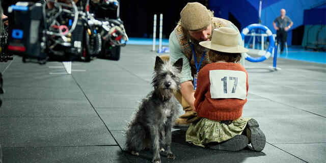 Meet Squid, the rescue dog starring in Runt