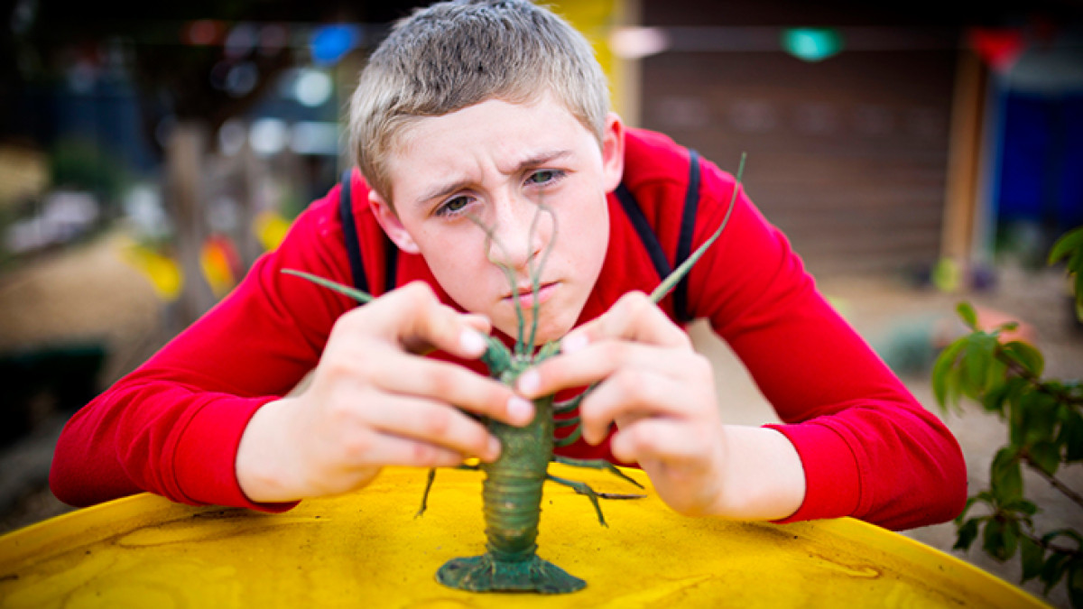 How Children’s Content Cultivates Creativity