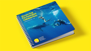 ACTF Annual Report shows record $10 million investment in Australian children’s screen content