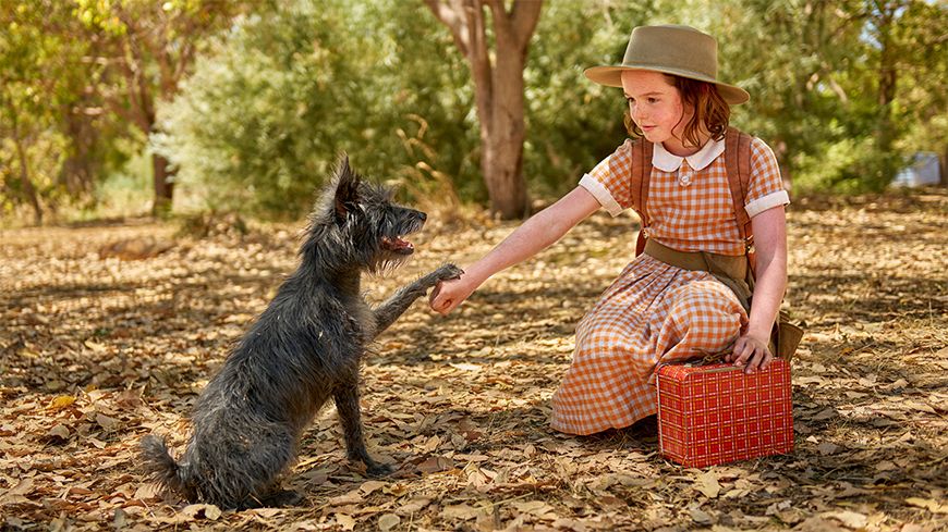 Runt, Australian classic movies, Craig Silvey, Australian children's television, Australian screen content